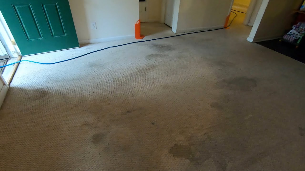 Heavily soiled carpet cleaning and area rug washing plant tour!