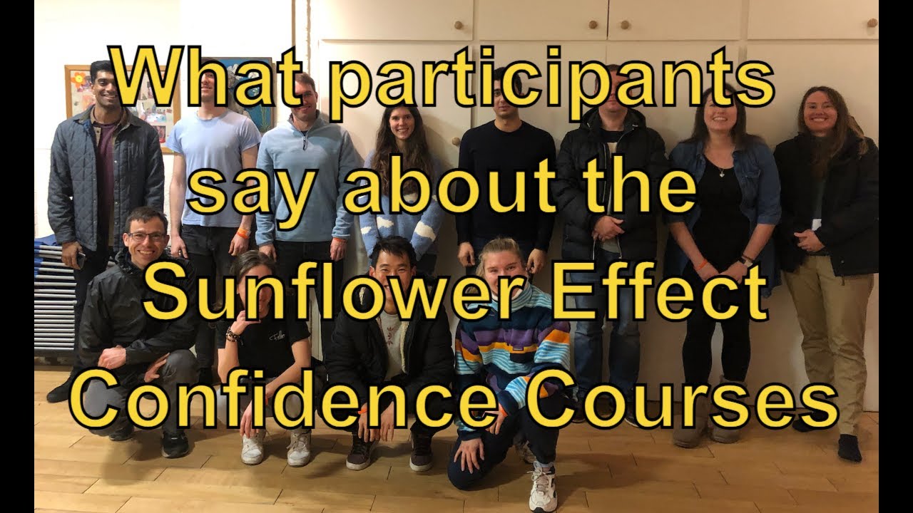 The Sunflower Effect Changed Our Lives - Real Stories