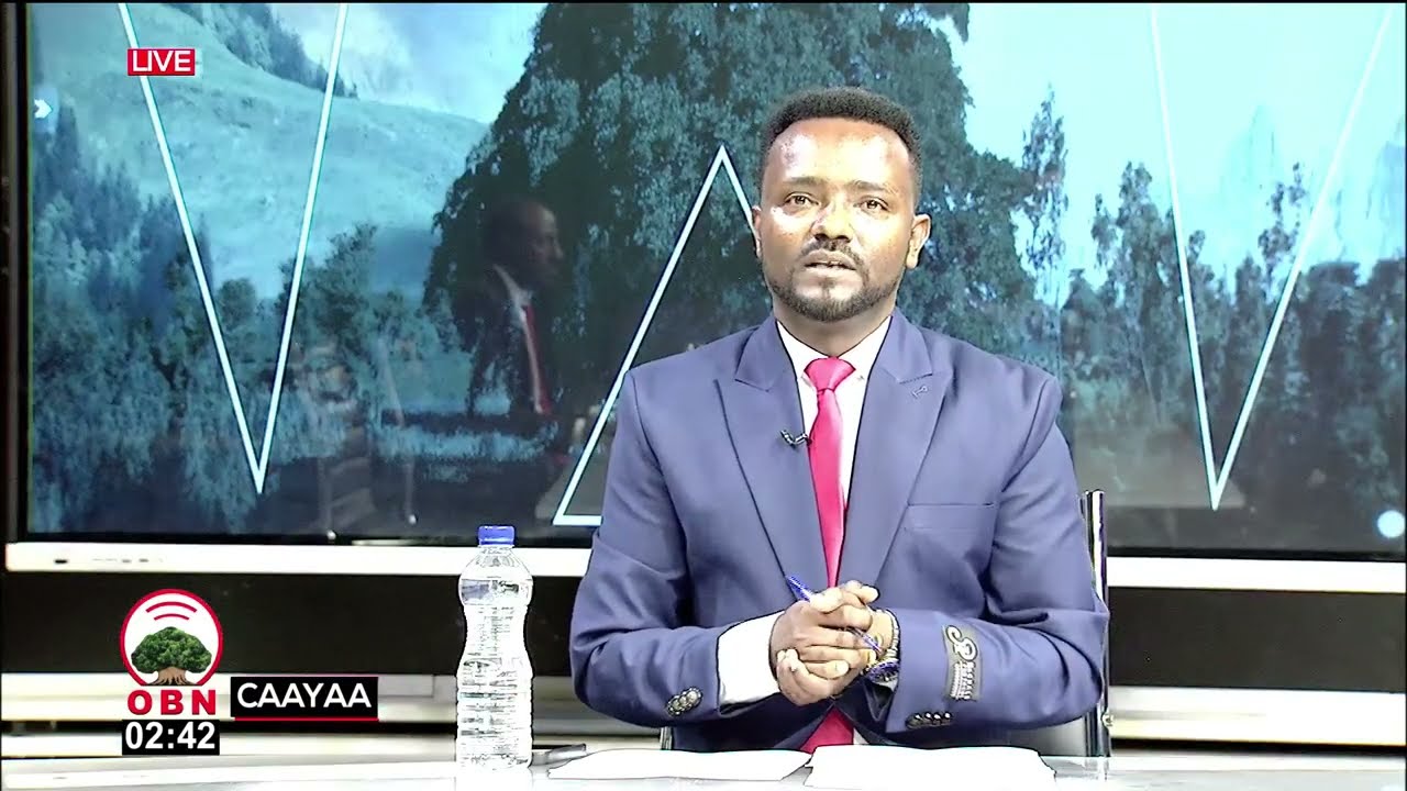 Qophii Caayaa  OBN Amajjii 18,2018