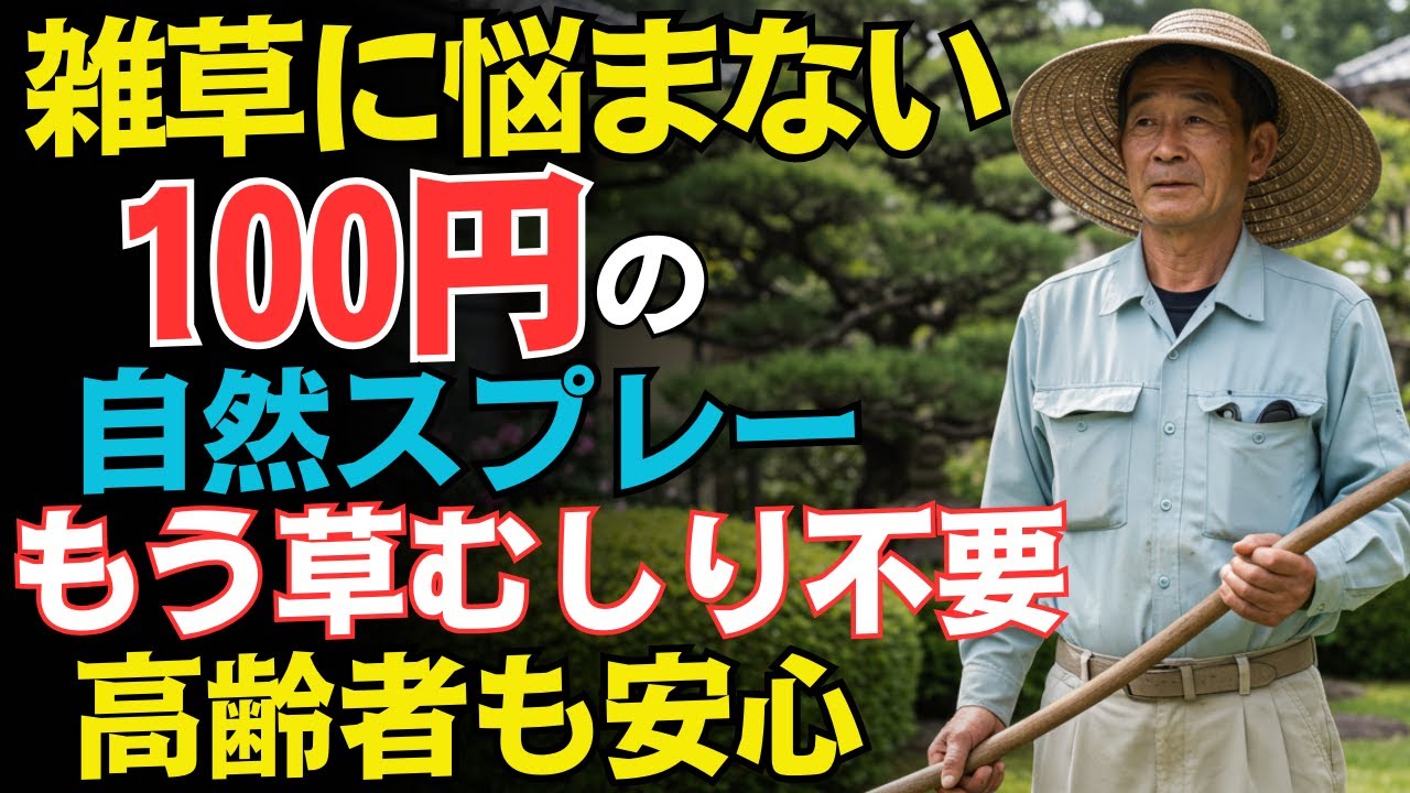 【もう抜かない】庭の雑草、実は100円で永久に消せます。農家の知恵から生まれた最強の天然除草スプレーの作り方  雑草対策  環境にやさしい除草  高齢者 園芸