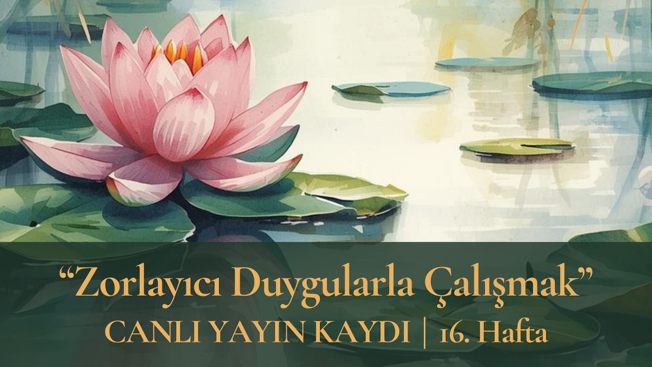 Fırtınanın Ortasında Bilgece Durmak: Zorlayıcı Duygularla Çalışmak | 16. Hafta #mindfulness