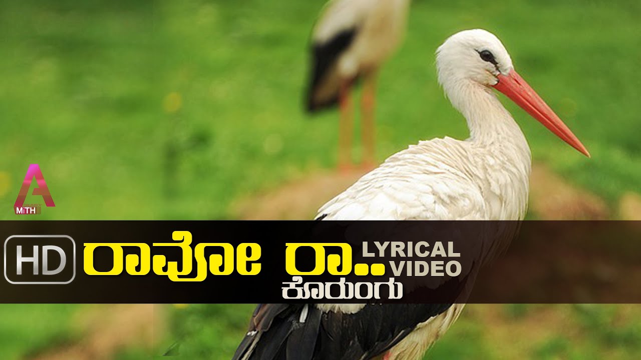 Ravo Ra Korngu - Tulu Lyrical Video