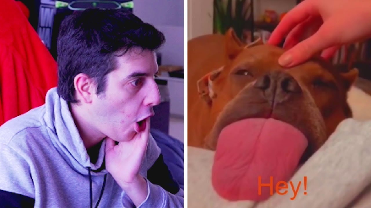 UNUSUAL MEMES COMPILATION! 😂 #21 Reaccionando