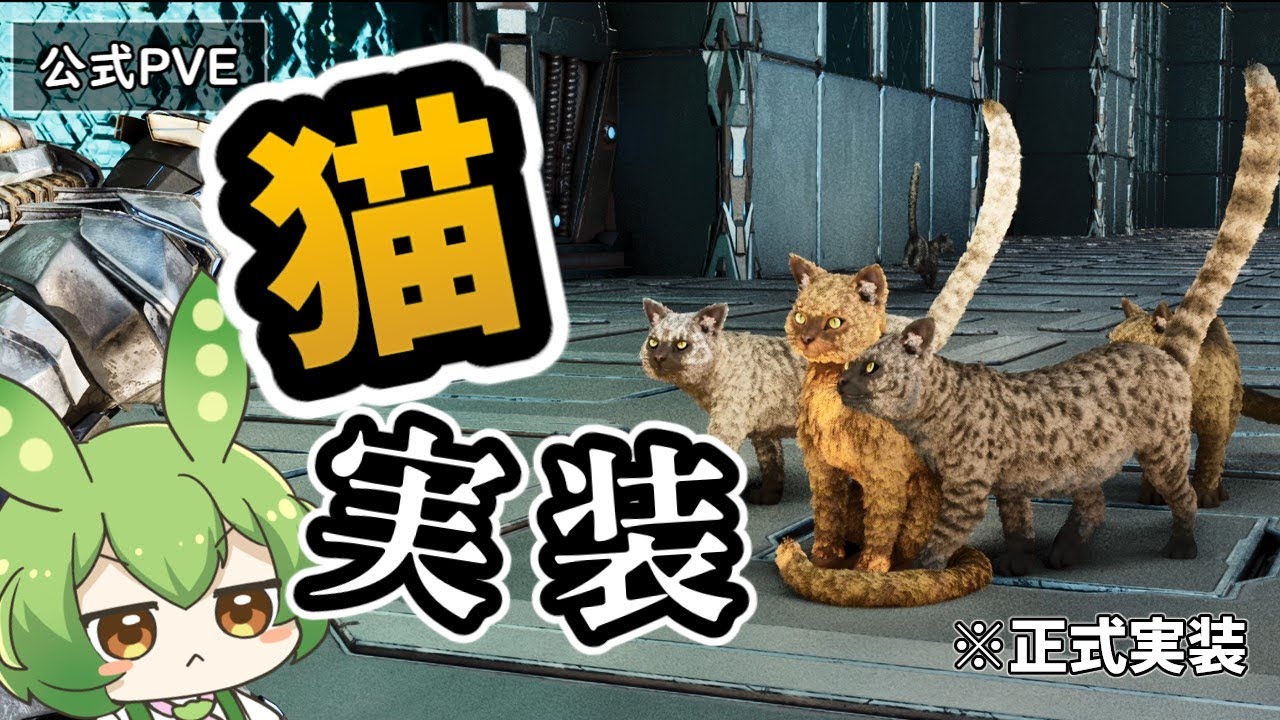 【ARK/ASA】#5 突然実装！超激かわ生物『猫』早速テイムして方法や性能を検証していくぞ。