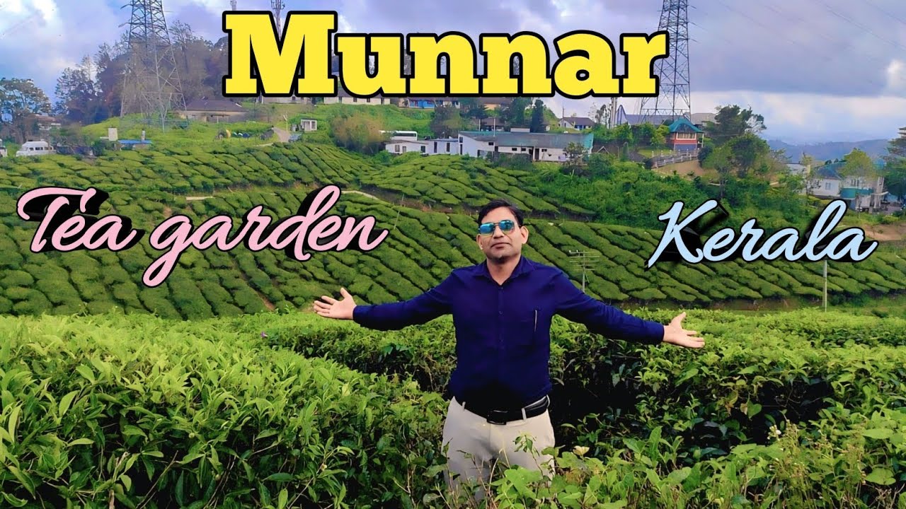 Munnar Tea Garden Drone View 🌱🌱Munnar Tea Garden Kerala ⛰️