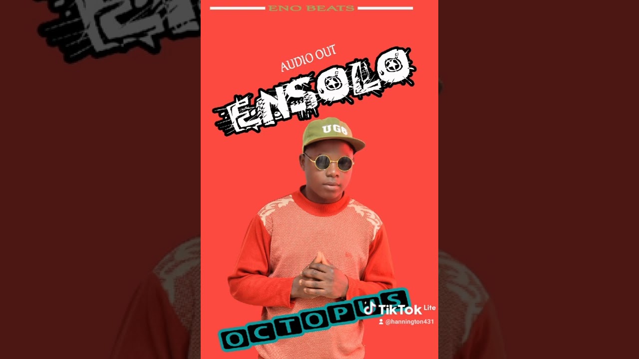 Ensolo   Audio  out