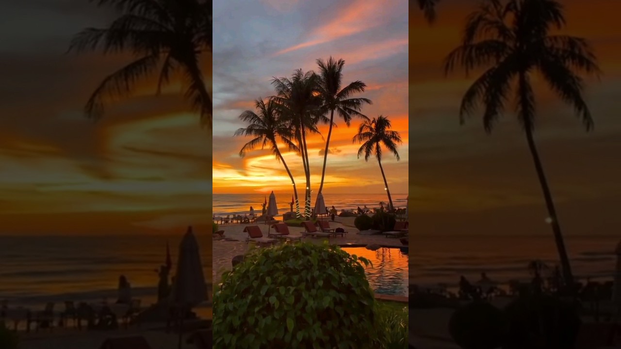 Stunning Sunset Beach with Beautiful Palm Trees 🌴🌅 #sunset