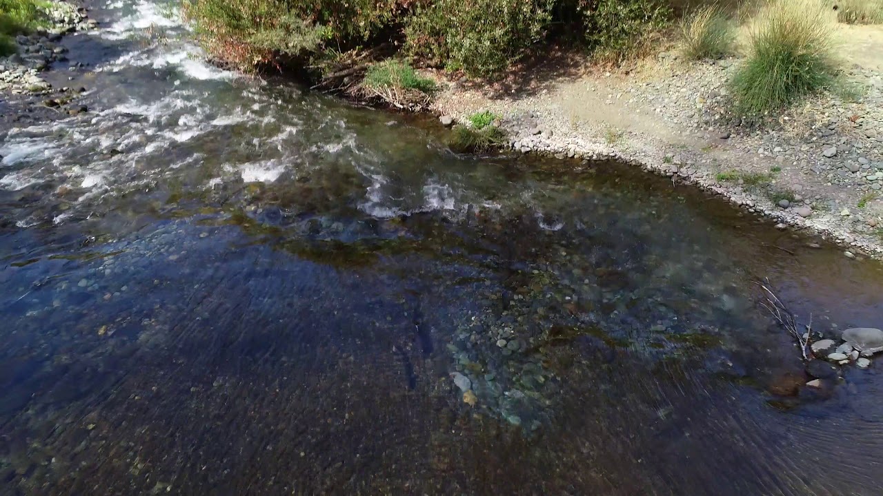 Butte Creek Drone