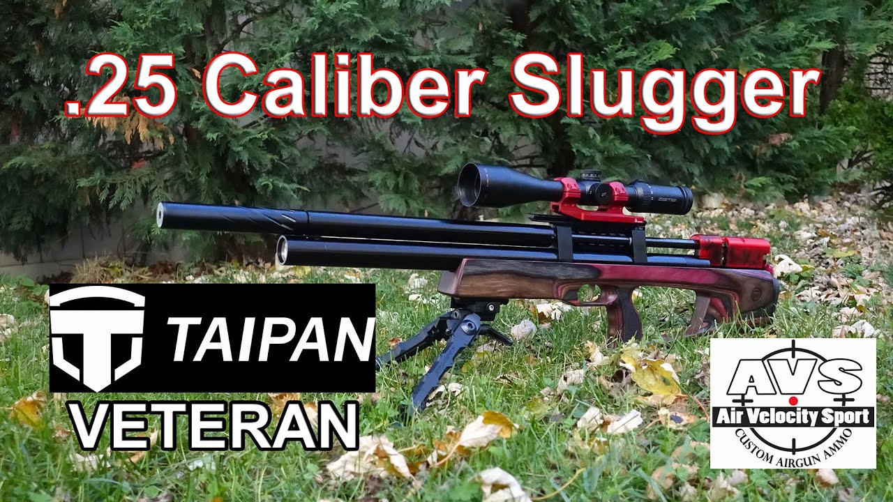 Taipan Veteran 25 - AVS slugs