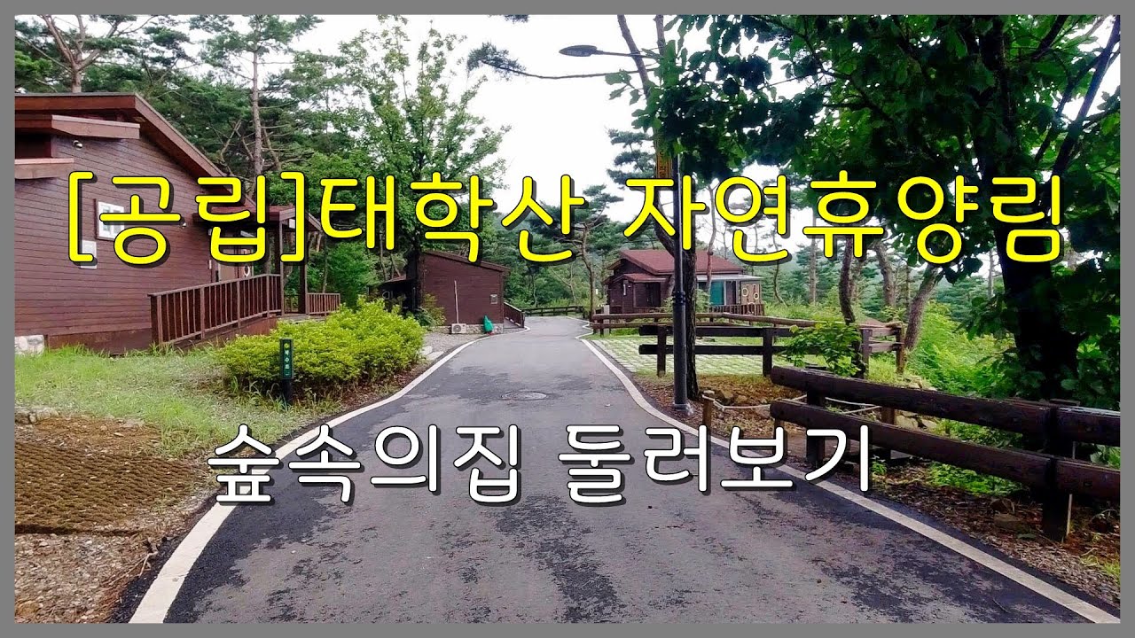 [공립] 태학산 자연휴양림 숲속의집 둘러보기( 천안 )