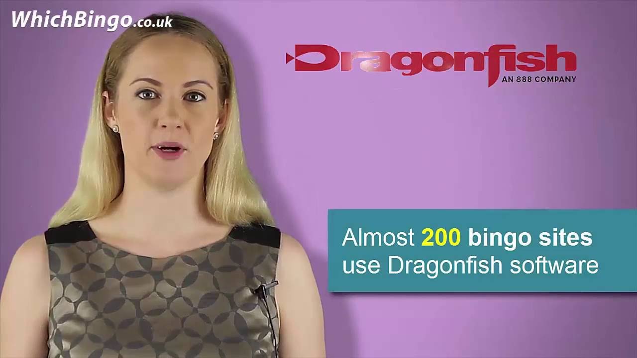 Online Bingo Software Guide