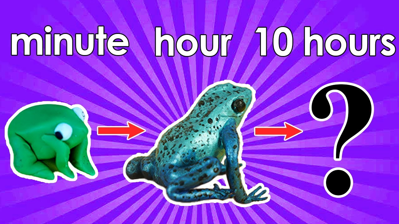 How Long Does It Take to Make a Perfect Frog?