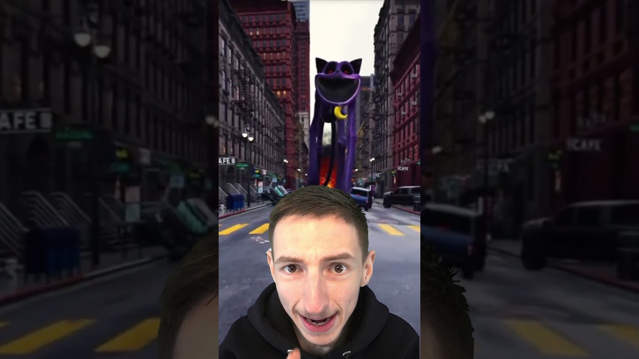 Catnap retrouv&eacute; sur Google Maps ! #shorts #googlemaps