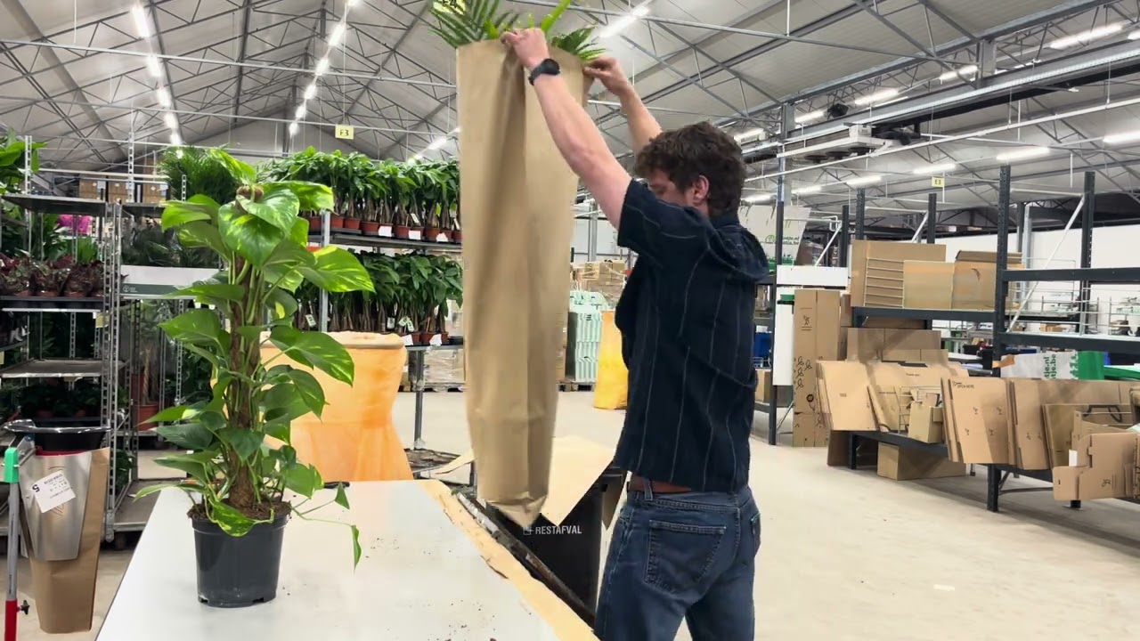 Paper sleeves 100 & 130cm plants