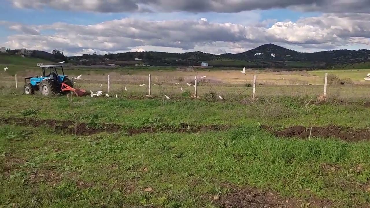 Labour et Pr&eacute;paration du Sol : Les Secrets d&rsquo;un Sol Fertile
