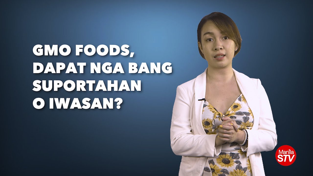 GMO FOODS, DAPAT NGA BANG SUPORTAHAN AT IWASAN?
