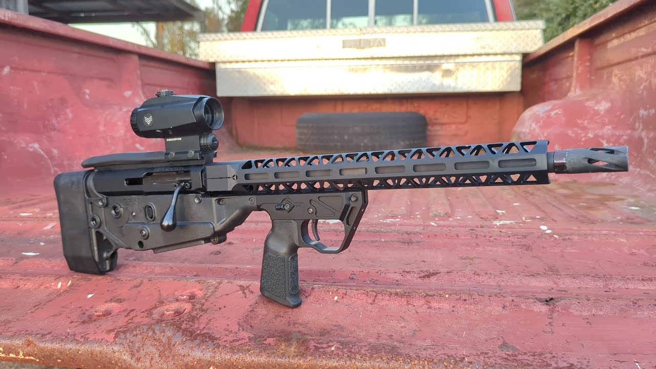 Bolt Action, Bullpup, AR Abomination 