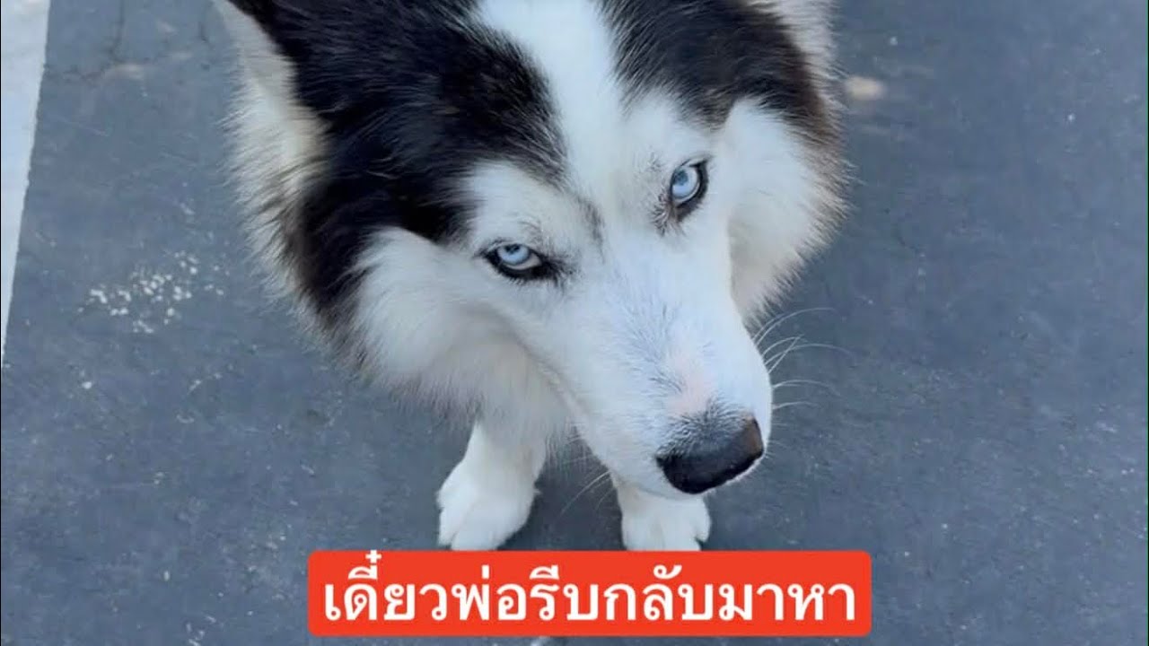 แบงค์ไปไม่ว่านี่ยายไปด้วยทิ้งทีมเวิร์คได้ไงอะ