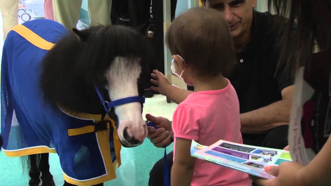 Miniature Horse Greets Kentucky Children's Hospital Patients
