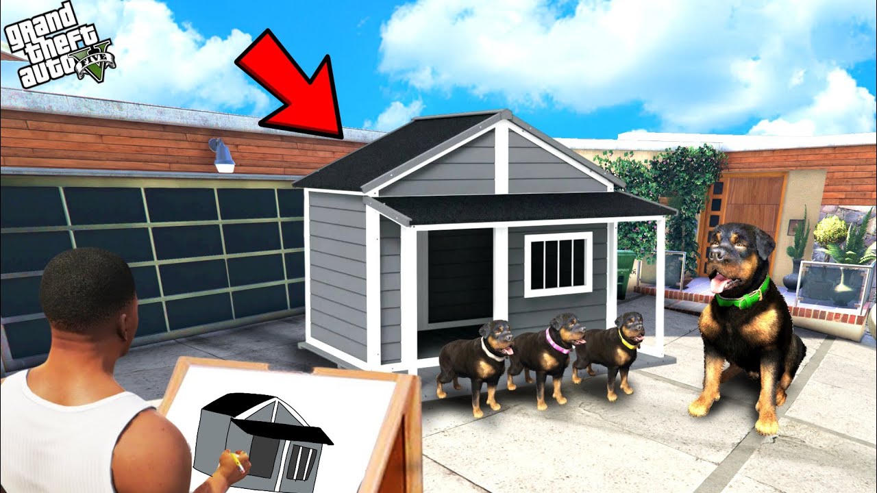 Franklin Drawing Dog House For Chop Puppies