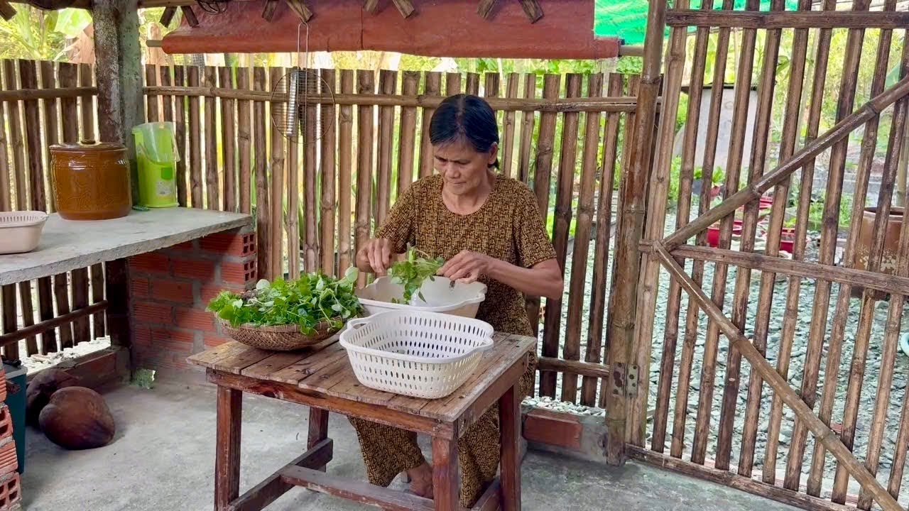 Mẹ hái rau càng cua ngoài vườn làm món gỏi chay ngon | Quê Nhà Còn Mẹ 