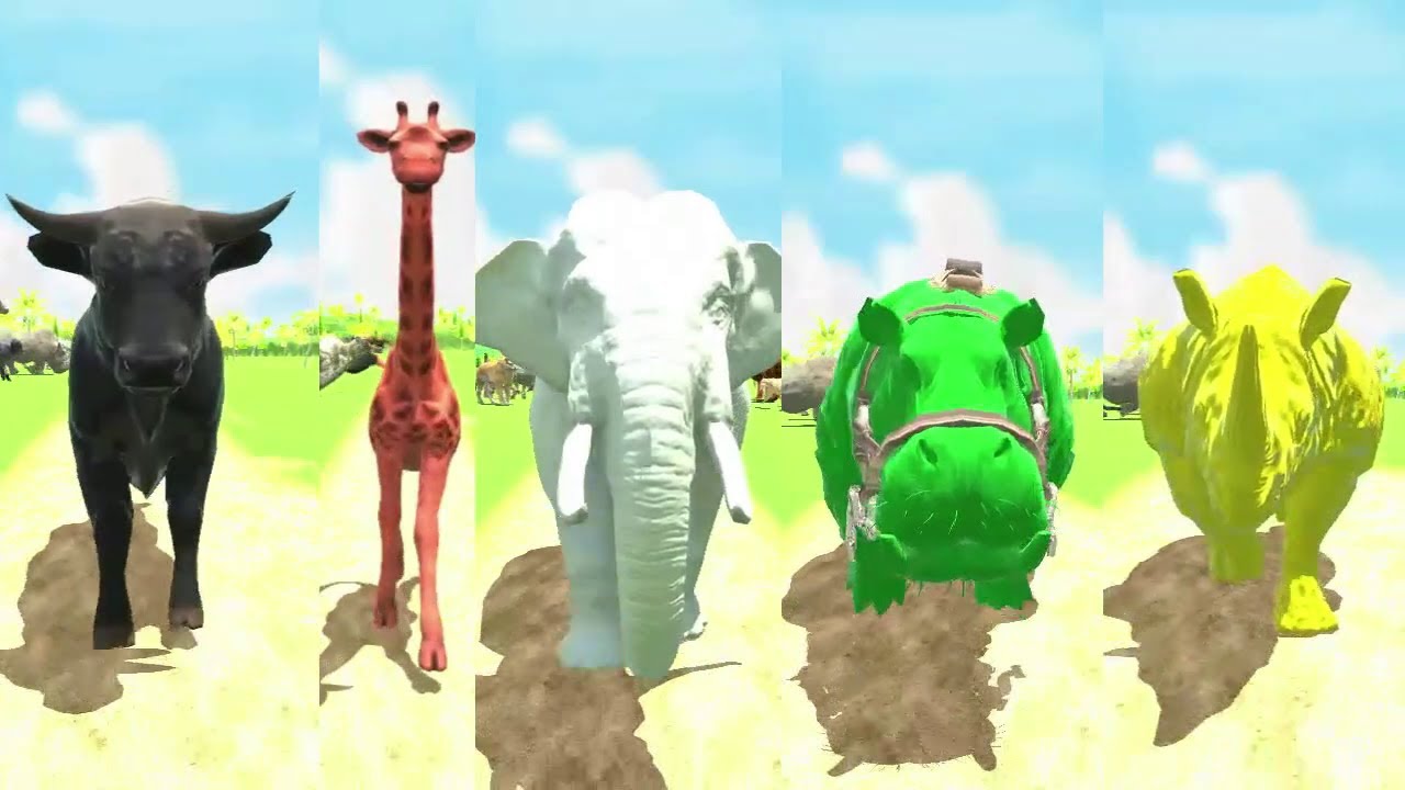 Colored Heaviest Animals Speed Race | Hippo, Elephant, Rhino, Giraffe, Bull