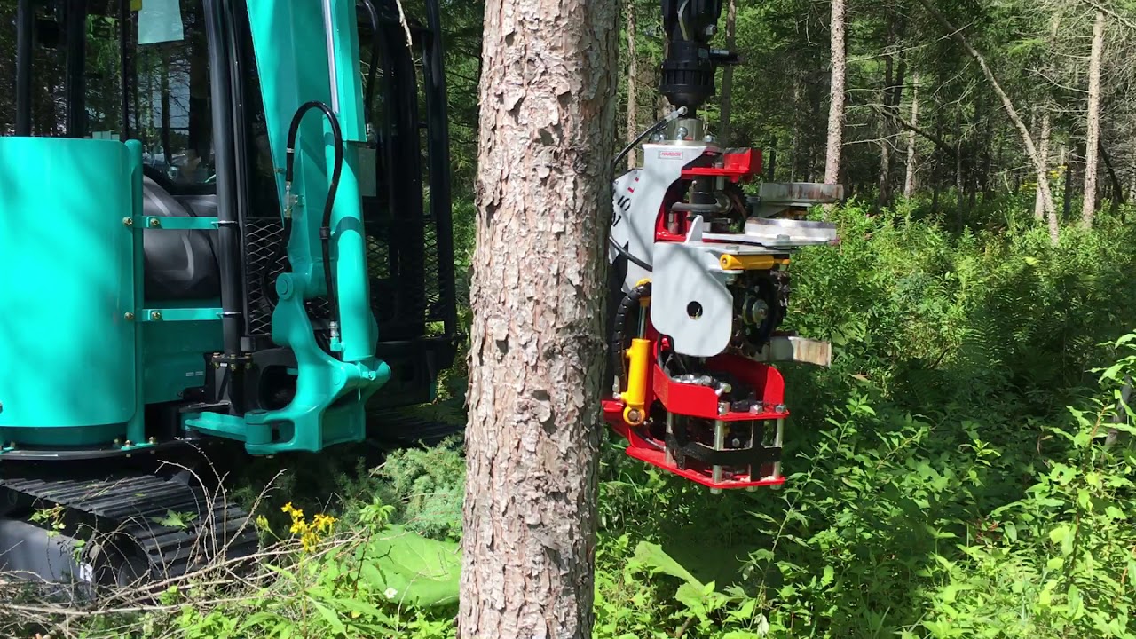 Nisula 325H & Kobelco SK55 in Japan