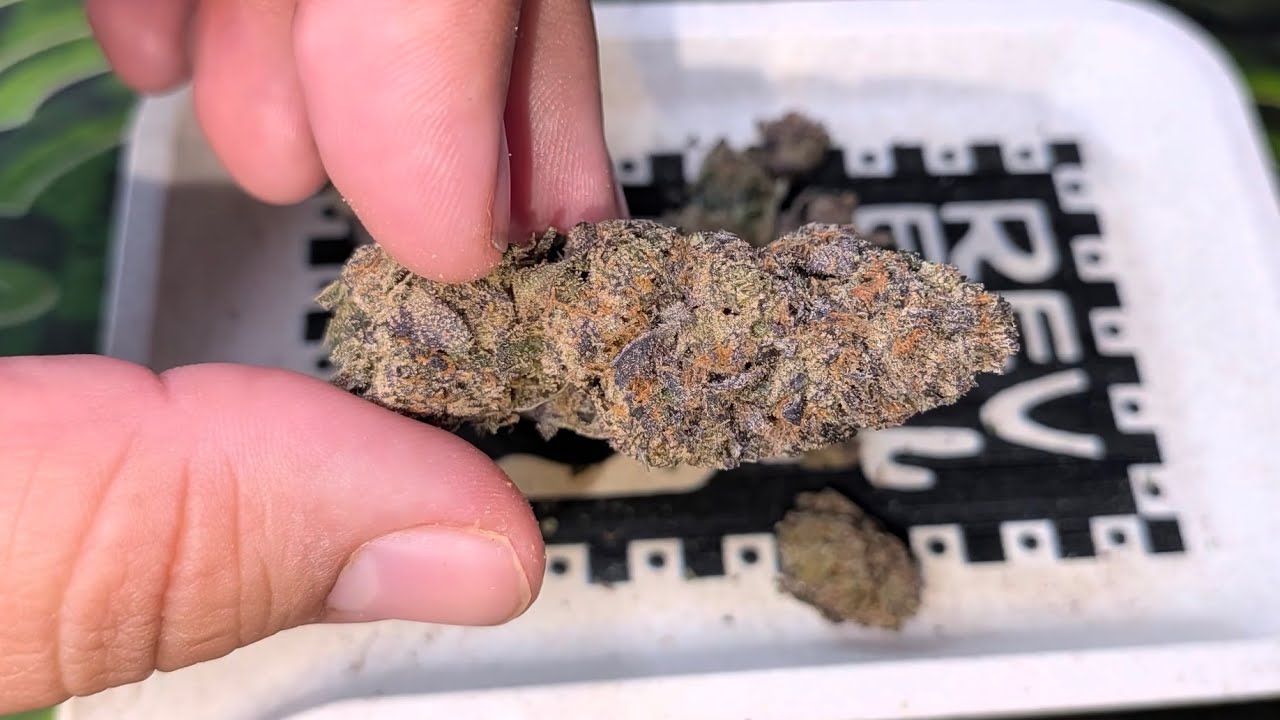 THCA SMALL BUDS | PURPLE NEBULA | THCA REVIEW🍇🛸✨
