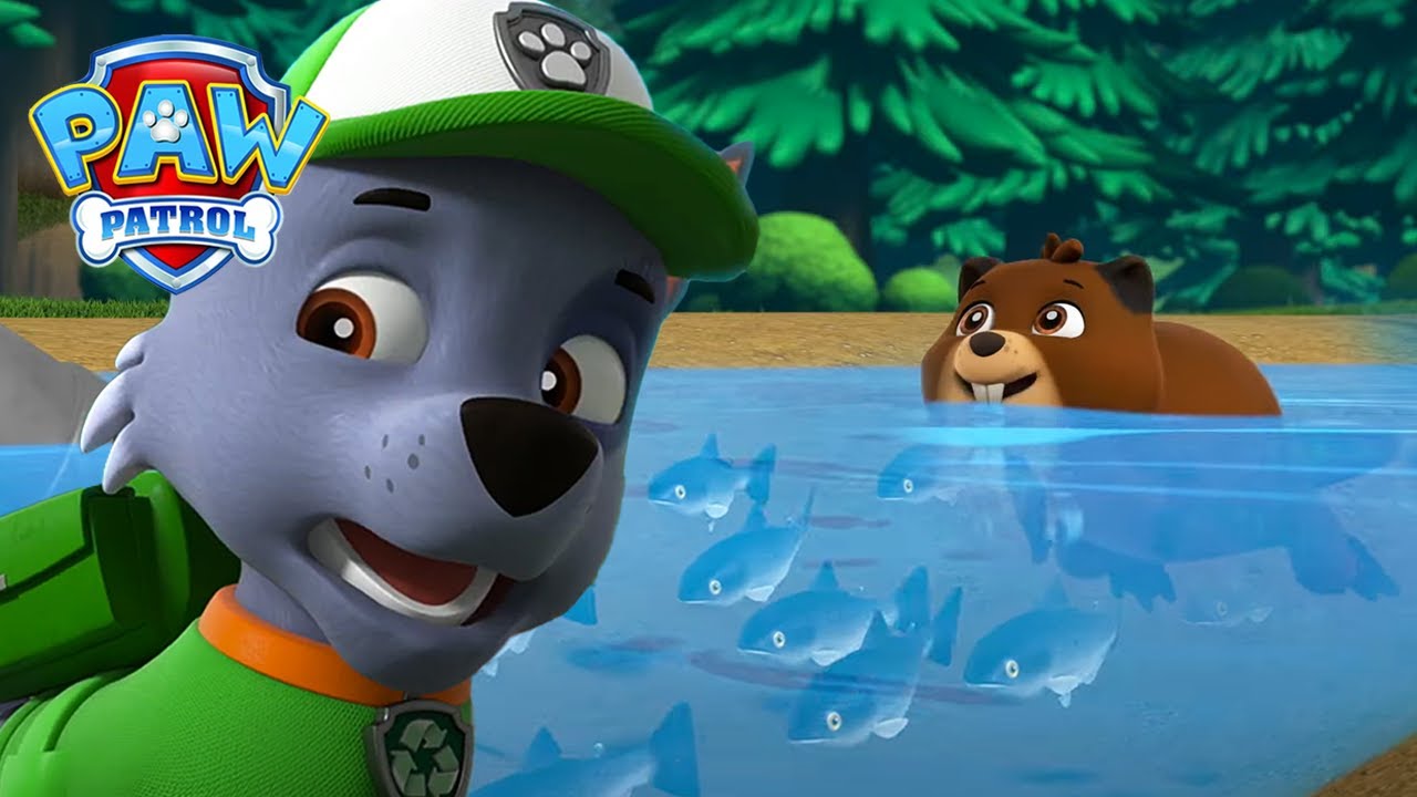 Rocky bygger en laksesklie! | På Norsk | Paw Patrol