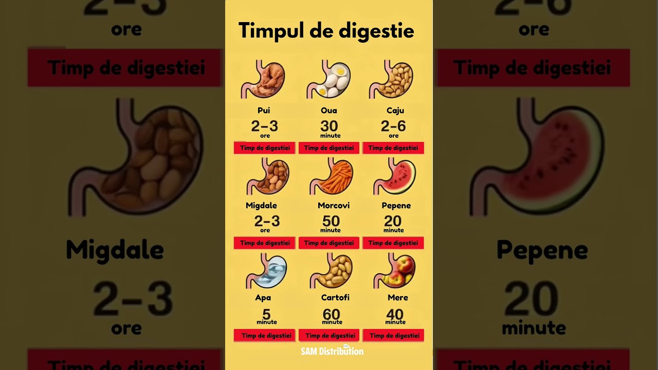 C&acirc;t durează digestia diferitelor alimente? | Timpul de digestie al alimentelor #samdistribution