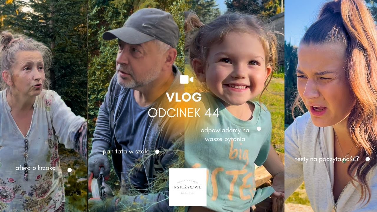 ODCINEK 44: TOTALNA DEMOLKA | REGULAMIN DLA SIEDLISKOWYCH GOŚC | AFERA KRZAKOWA | Q&A 🤯🌲🪵