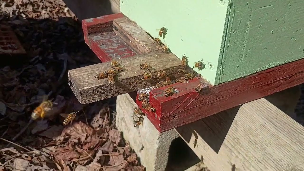 Dead outs and other tidbits 