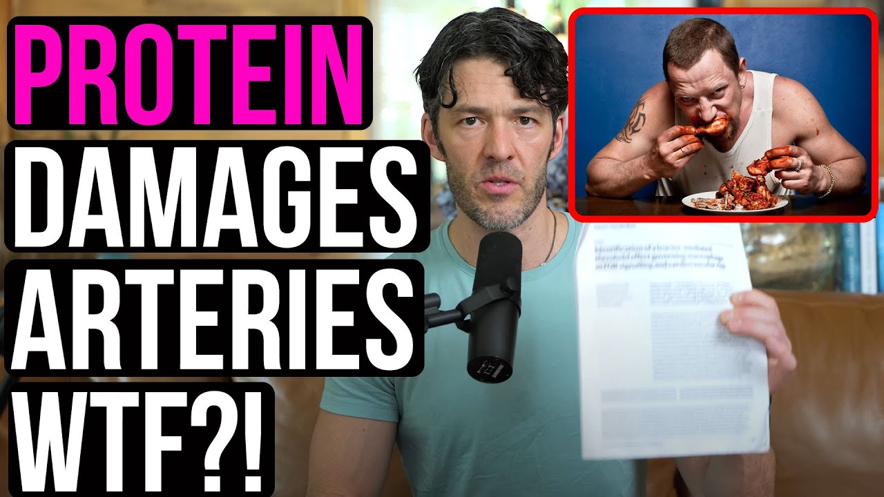 Media Claims 'Protein Damages Your Arteries' | Study Breakdown