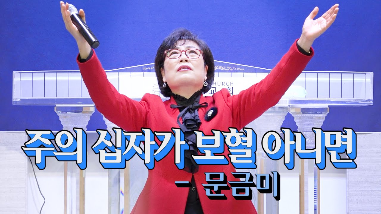 ♪♬ 주의 십자가 보혈아니면- 찬양사역자 문금미