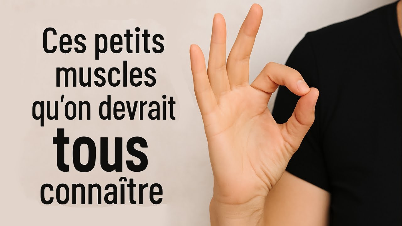 Ces petits muscles de la main qu’on devrait tous connaître… et qu’il faut renforcer !