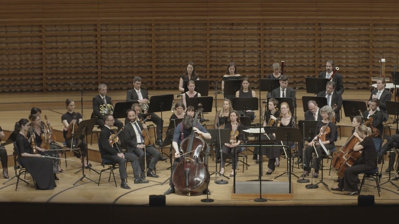 Francois Rabbath: Iberique Peninsulaire, Dominik Wagner (double bass)