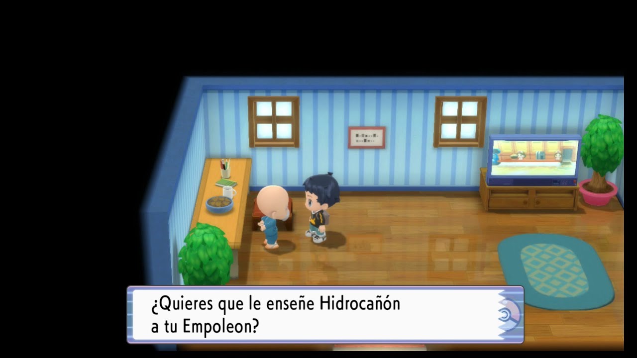 Pok&eacute;mon Perla Reluciente | Ense&ntilde;ar Hidroca&ntilde;&oacute;n | Ruta 228