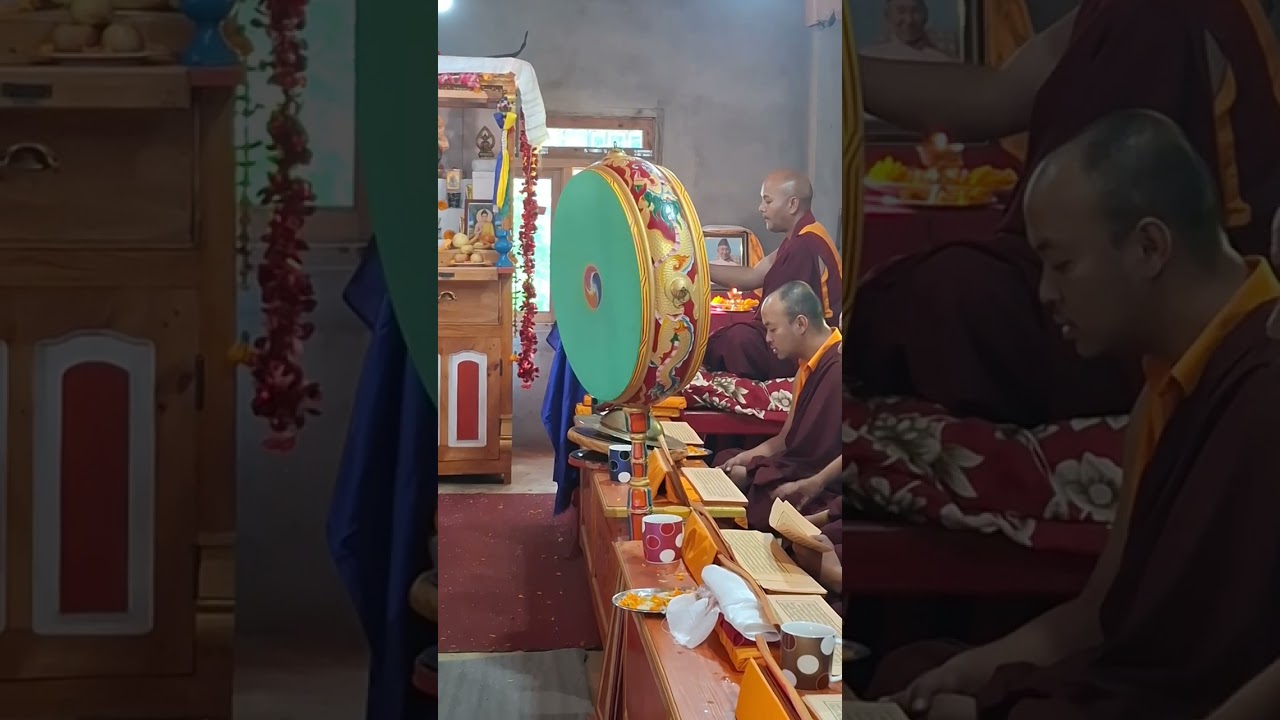Pooja Clips