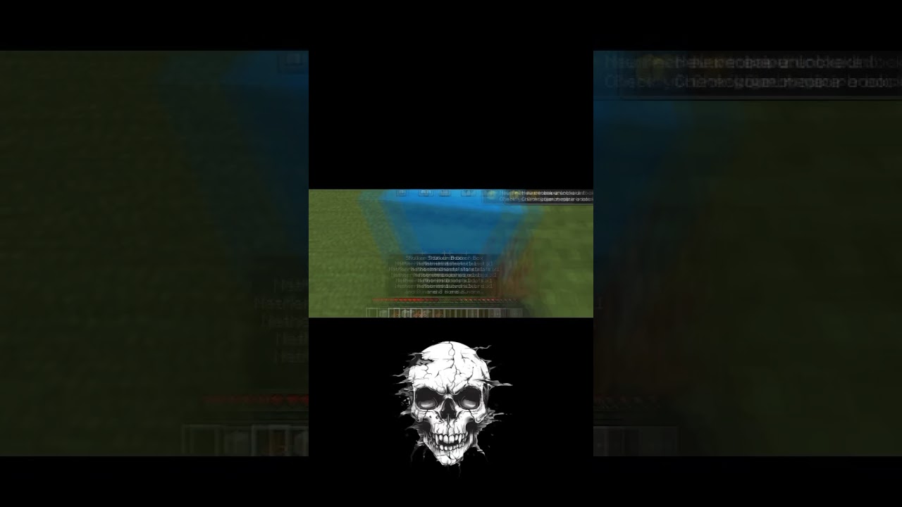 Minecraft Skull 💀 Meme