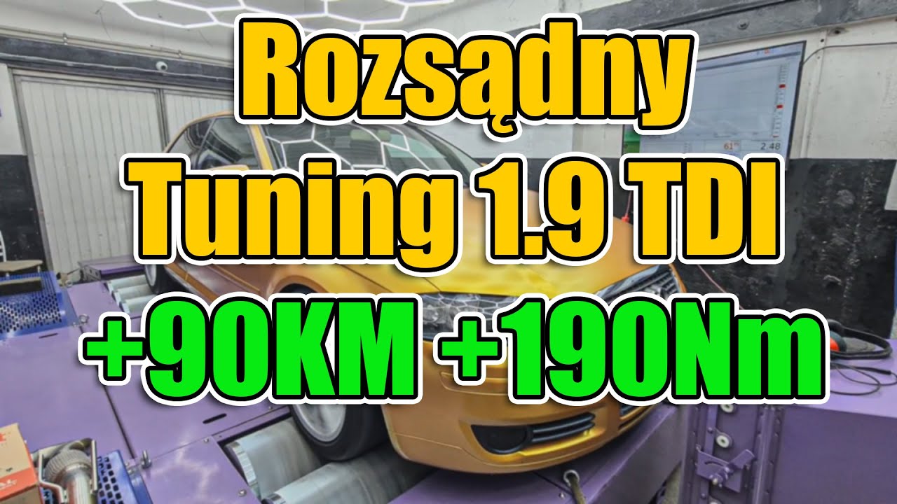 Berry Dyno - Rozsądny tuning 1.9TDI +90KM +190Nm