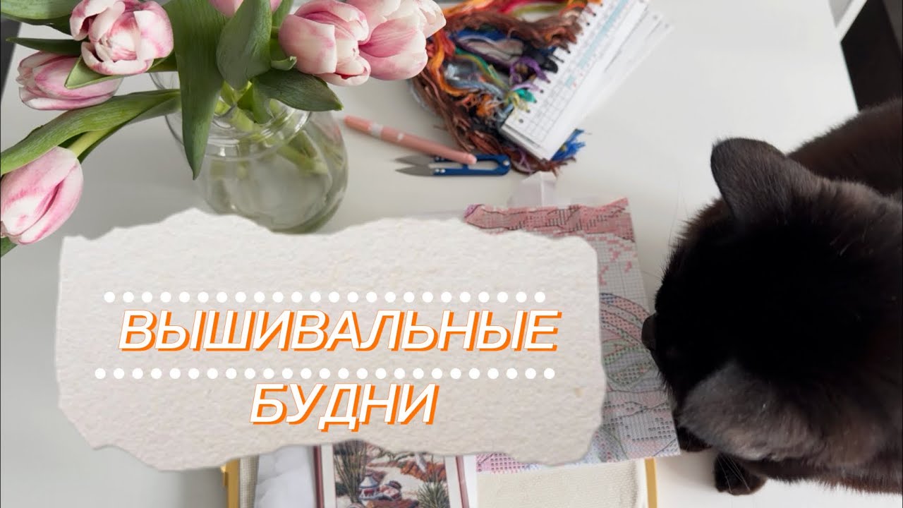 ВЫШИВАЛЬНЫЕ БУДНИ | вышивка крестиком | конец февраля-начало марта’26