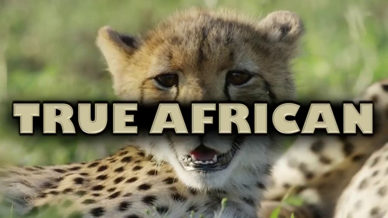 Hunting in South Africa at Sandriver Safaris - Promotional Video 2018