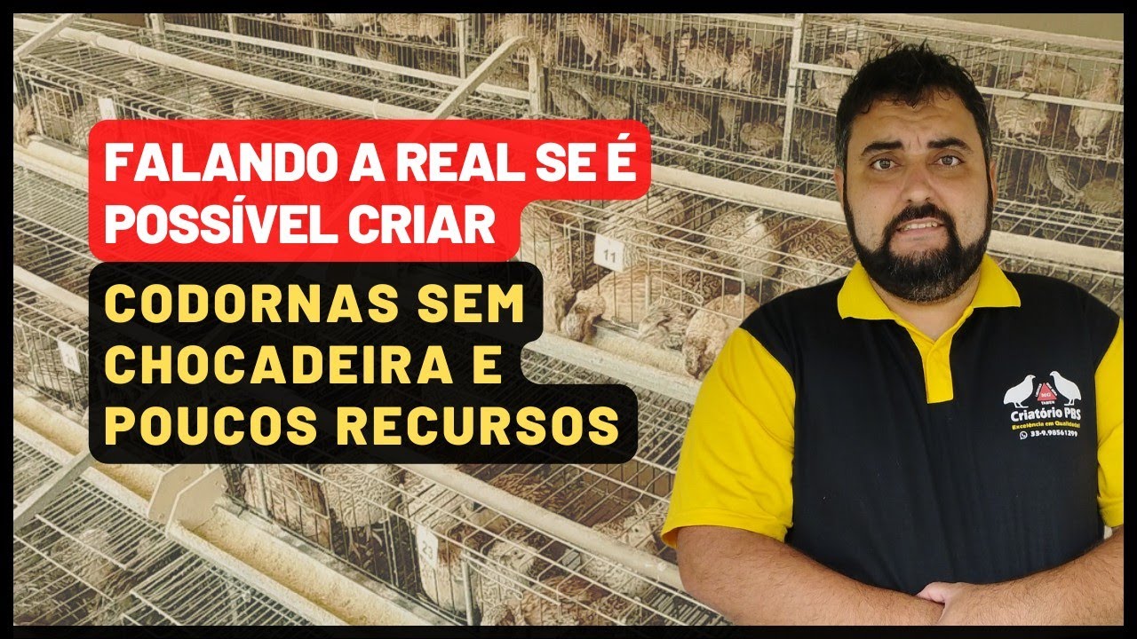 TENHO POUCOS RECURSOS E NÃO TENHO UMA CHOCADEIRA, É POSSÍVEL CRIAR CODORNAS? | VOU FALAR A REAL!