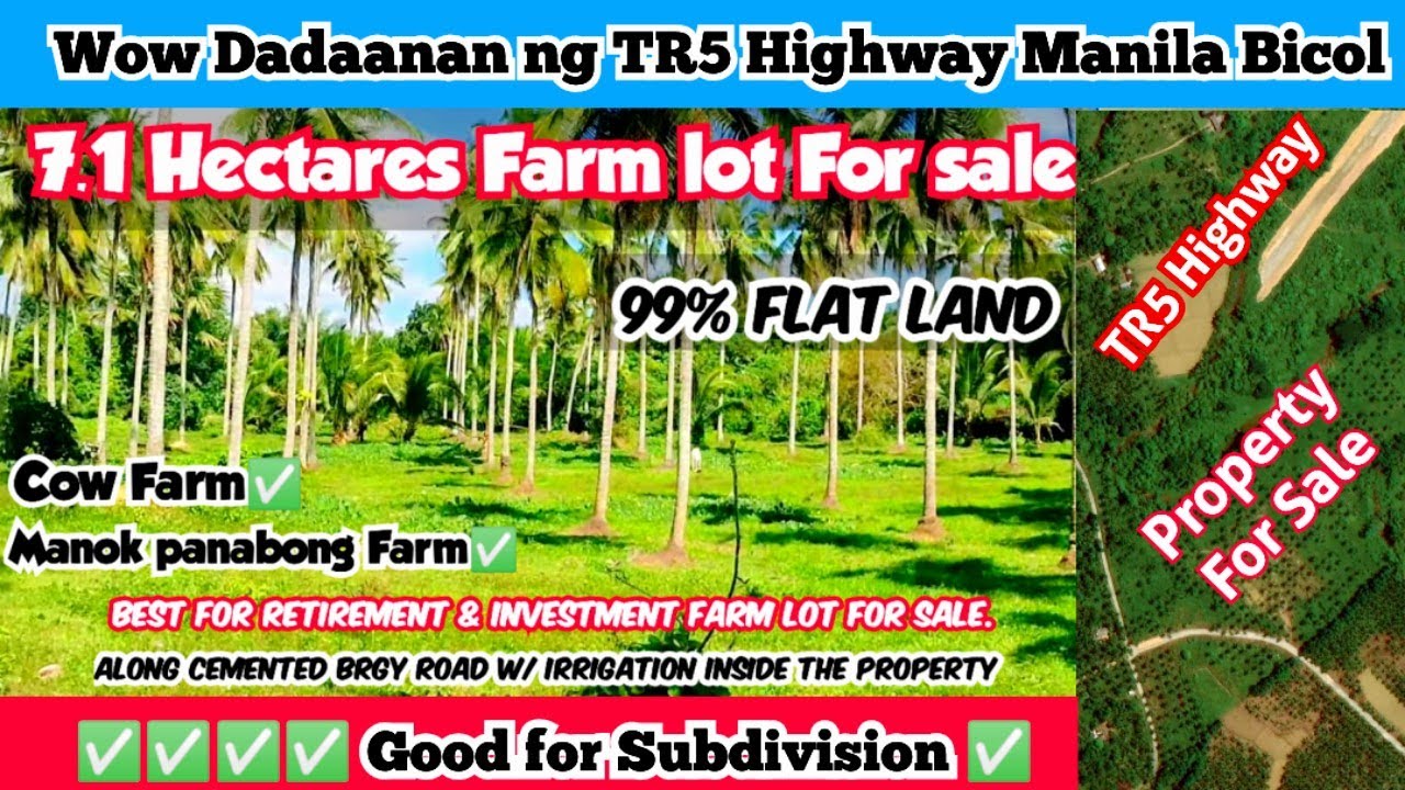 Farm lot For Sale V#122👉 Subrang ganda nito 7 Hectares flat land dadaanan pa ng TR5. Tabing Kalsada