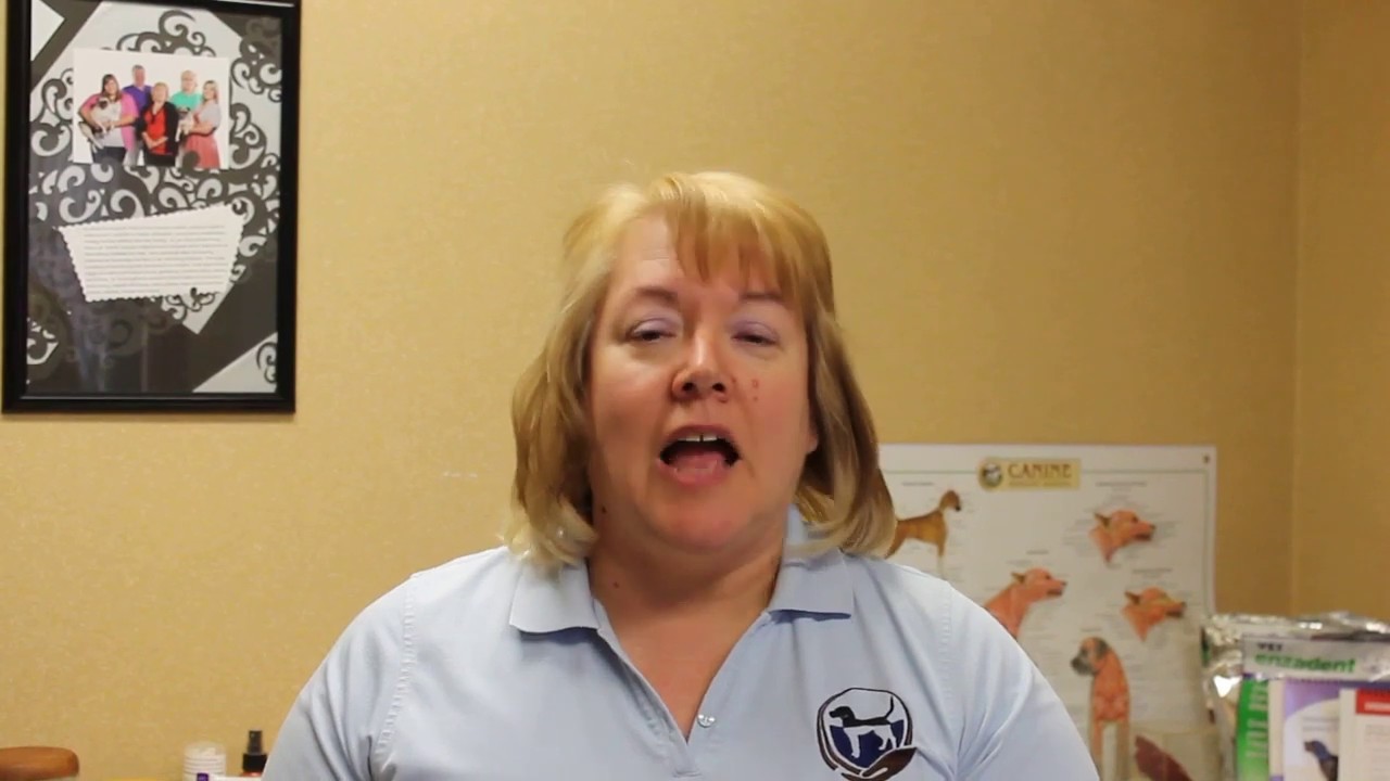 Pet Wellbeing's Herbal Remedy for Dog Constipation