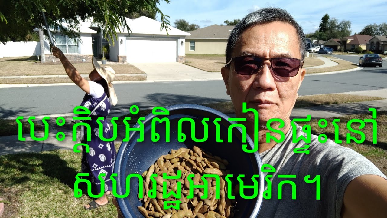 បេះក្ដឹបអំពិលមុខផ្ទះនៅអាមេរិក / KSH Jan.24, 2025