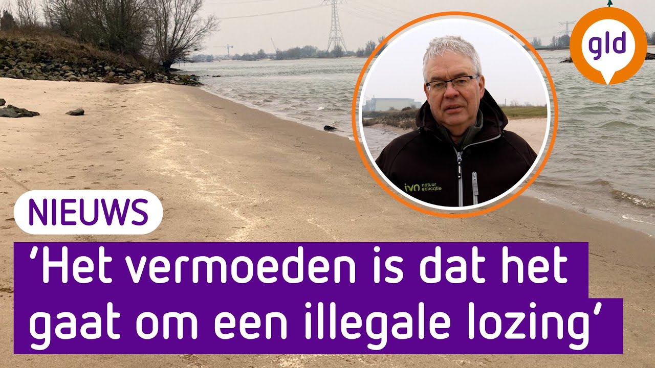 Mysterieuze gele smurrie langs de Waal