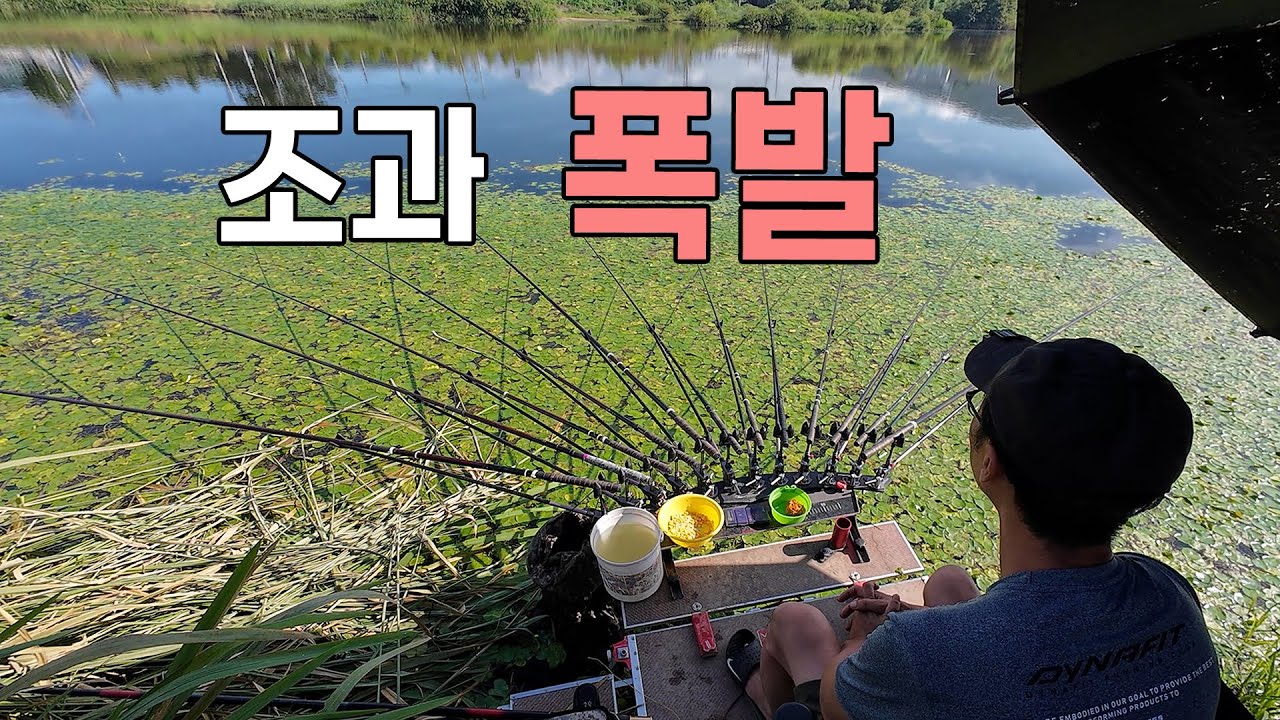 조과 폭발 붕어낚시
