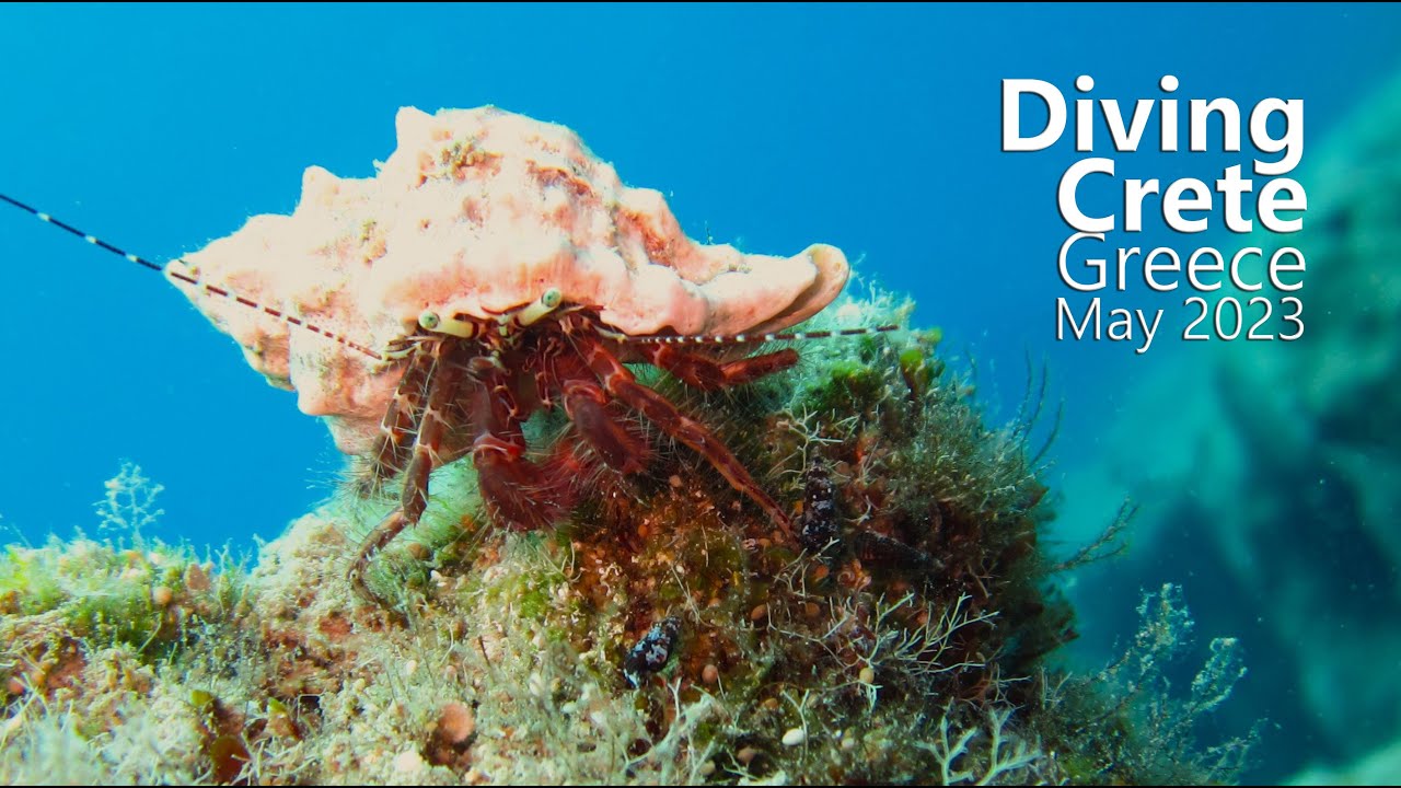 Diving Crete - Kreta, Griechenland - Mai 2023