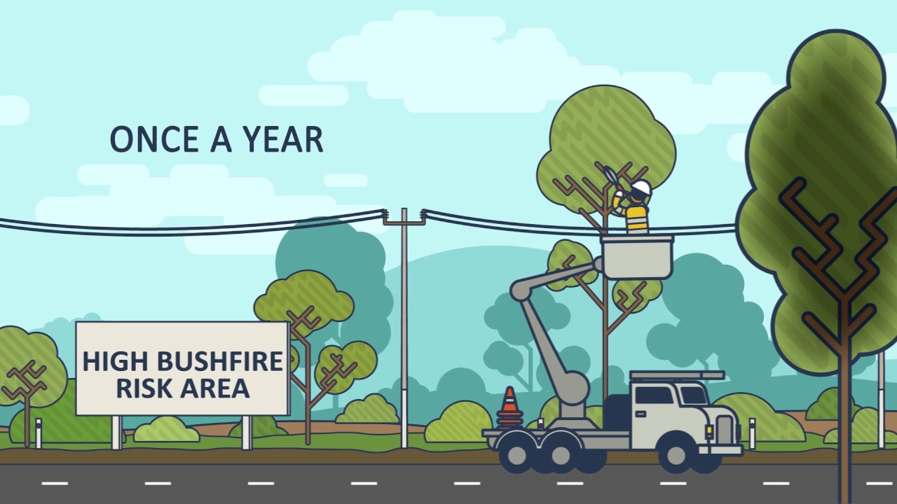 Trev and Stan on managing trees around power lines